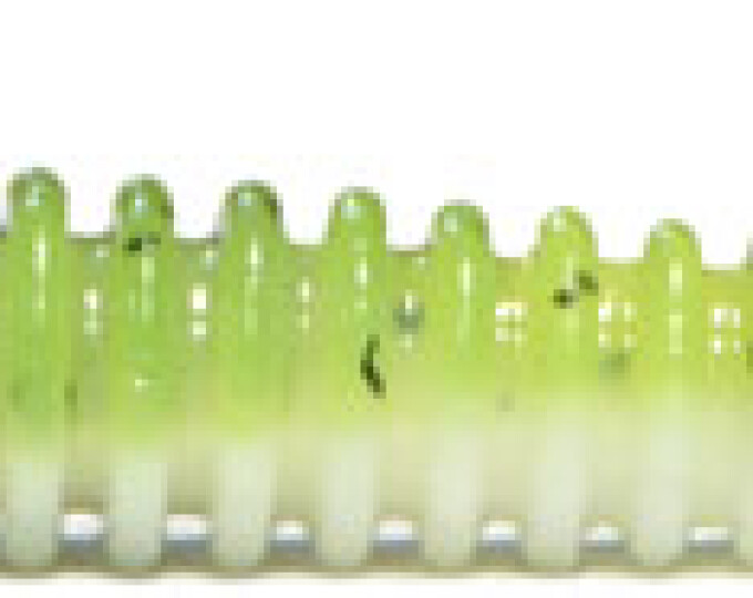 Виброхвост Kosadaka SWING IMPACT 75мм (10шт.) цвет WG - изображение 1