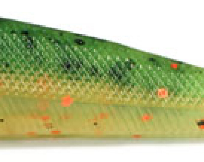 Силиконовая приманка Kosadaka GOBY 120 (длина 120мм) (2шт.) цвет BOT - изображение 1 