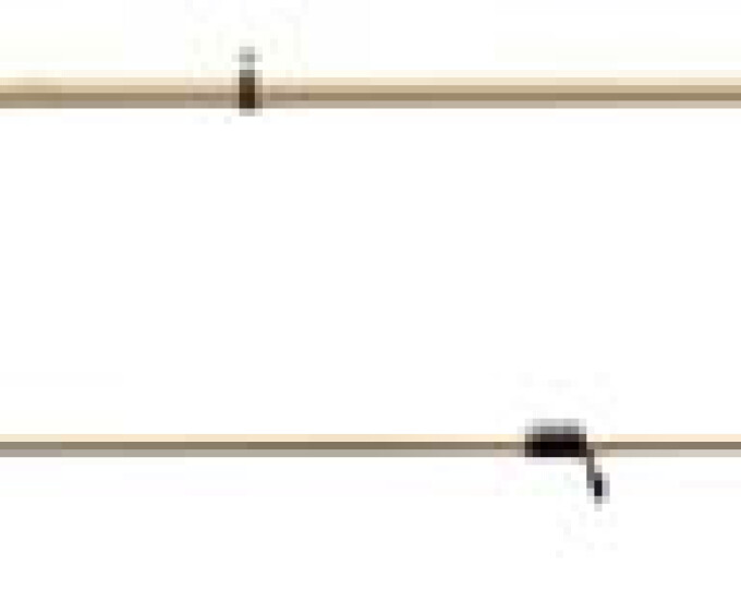 Спиннинг Rapala Distant shore 8’6 M (тест 7-28гр., 2pc) - изображение 1 