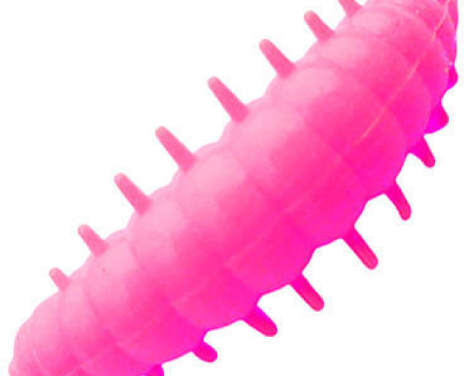 Приманка форелевая DUNAEV DT-NOA-LARVA 40мм-6шт, цвет 150 розовый - изображение 1 