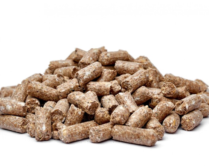 Прикормка Биотехнология «Чемпион» 0,6кг (гранулы) УНИВЕРСАЛЬНАЯ (20) - изображение 2