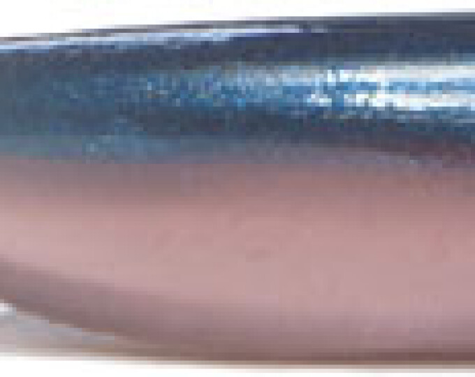 Силиконовая приманка Kosadaka KOLBASO 100 (длина 100мм, вес 8,5гр.) (4шт.) цвет TRS - изображение 1