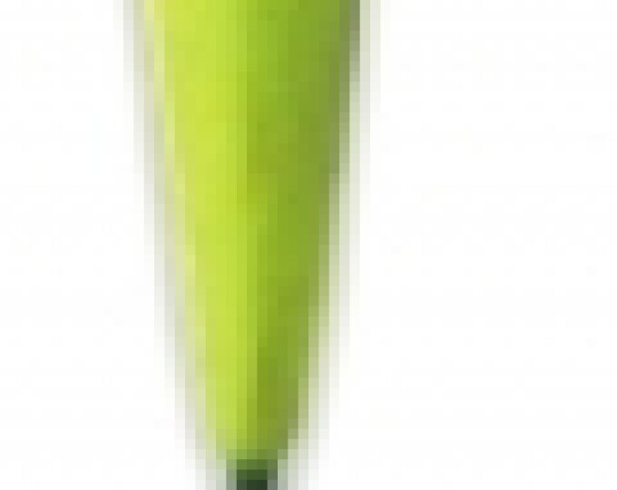 Поплавок бальсовый Stream — 004 (3,0гр.) - изображение 1 