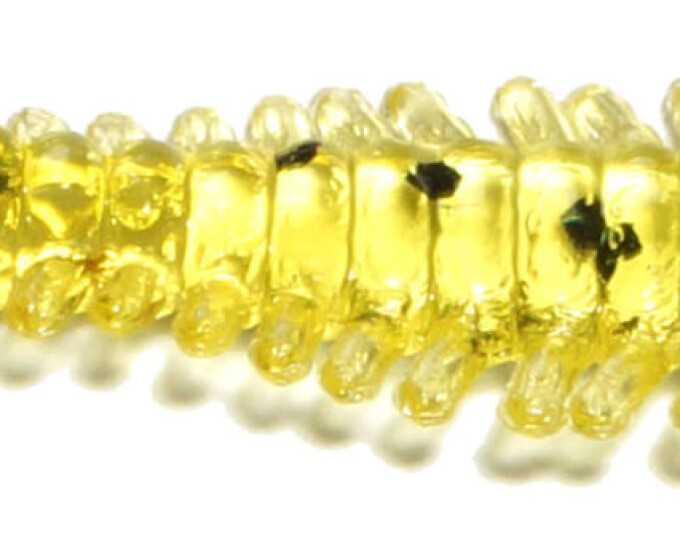 Силиконовая приманка Kosadaka S-LINER WORM 55 (длина 55мм, вес 0,4гр.) (15шт.) цвет OT - изображение 1 