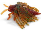 Силиконовая приманка Kosadaka MAY BUG 40 (3шт.) SMO - изображение 1 