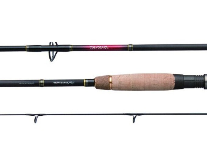 Спиннинг Daiwa «Team Daiwa RU» 3,05м (10-40гр.) (TD-RU1002MHFS) - изображение 1 