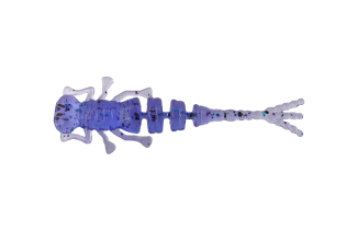 Силиконовая приманка Brown Perch «Kurva» (длина 50мм, вес 0,2гр.) цвет 020 (12шт.)