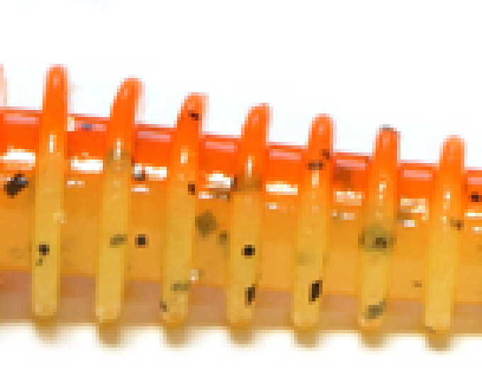 Виброхвост Kosadaka SWING IMPACT 95мм (8шт.) цвет MKS - изображение 1 