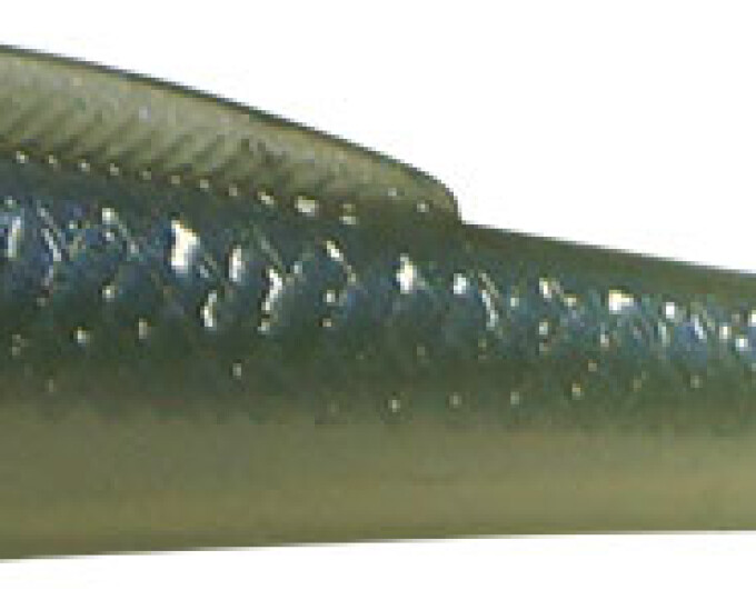 Виброхвост Kosadaka WEEDLESS MINNOW 88мм (6шт.) цвет TRS - изображение 1 