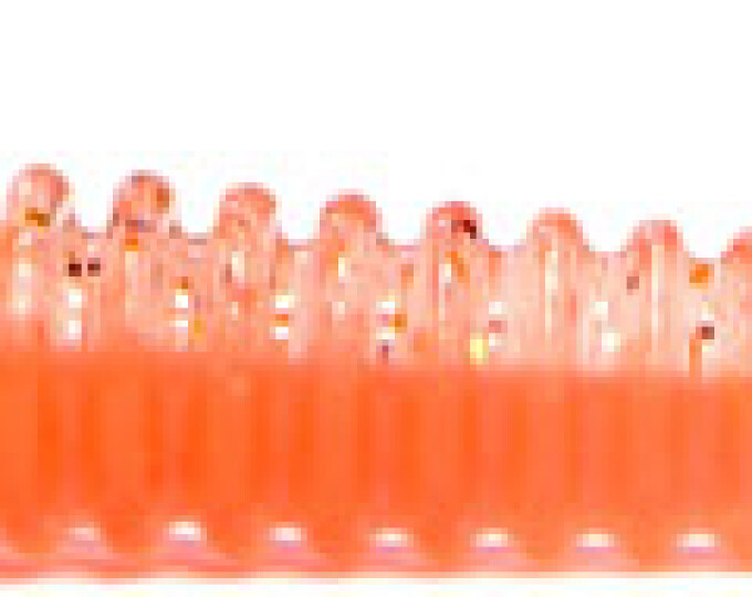 Виброхвост Kosadaka SWING IMPACT 75мм (10шт.) цвет ORG - изображение 1 