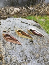 Блесна «Атом с чешуей» NEW 10гр. (золото)