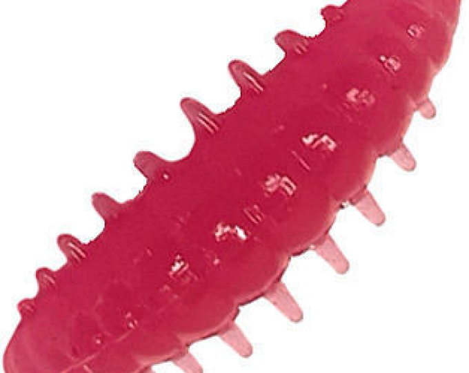 Приманка форелевая DUNAEV DT-NOA-LARVA 40мм-6шт, цвет 131 маджента - изображение 1 