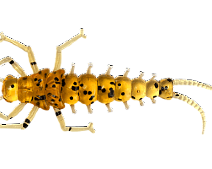 Силиконовая приманка LureMax «Stone Fly» 1,5″ (4,5см) (10шт.) цвет 004 Caramel Oil - изображение 1