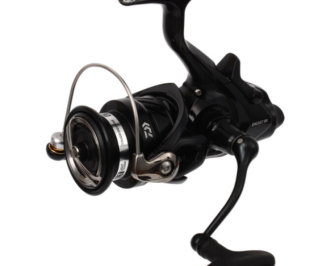 Катушка Daiwa ’19 EMCAST BR LT 3000 - изображение 1 