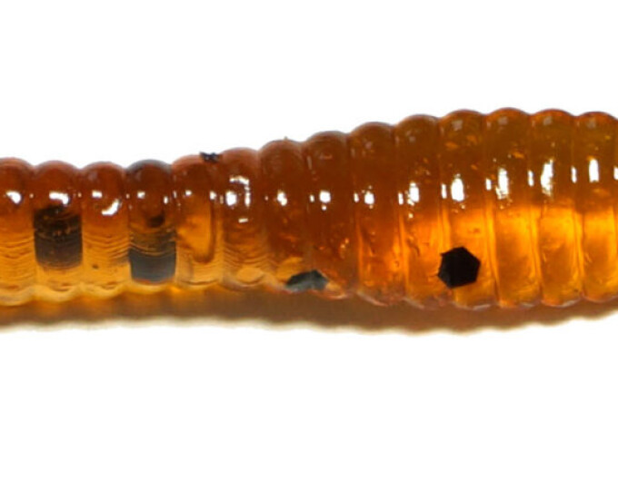 Мягкая приманка Kosadaka WORM T-LINER  55мм, цв. MO (15шт.) - изображение 1 