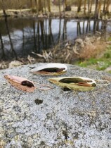 Блесна незацепляйка «Перо малое» 8гр. (серебро)