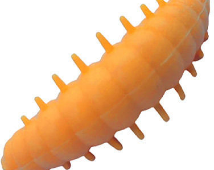 Приманка форелевая DUNAEV DT-NOA-LARVA 40мм-6шт, цвет 302 сырный - изображение 1 