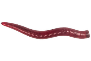 Силиконовая приманка LureMax «Curly Worm» 1,5″ (4см) цвет Blood Red (20шт.)