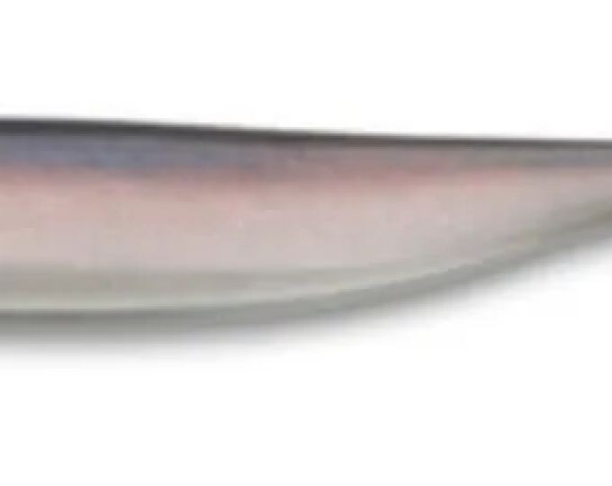 Приманка силиконовая Keitech Easy Shiner 4″ #420 Pro Blue Red Pearl - изображение 1 