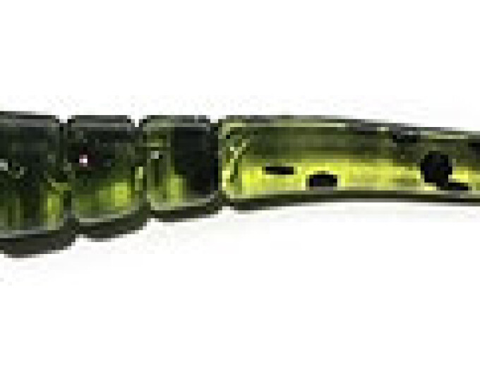 Мягкая приманка Kosadaka WORM SLY  50мм, цв. BG (20шт.) - изображение 1 