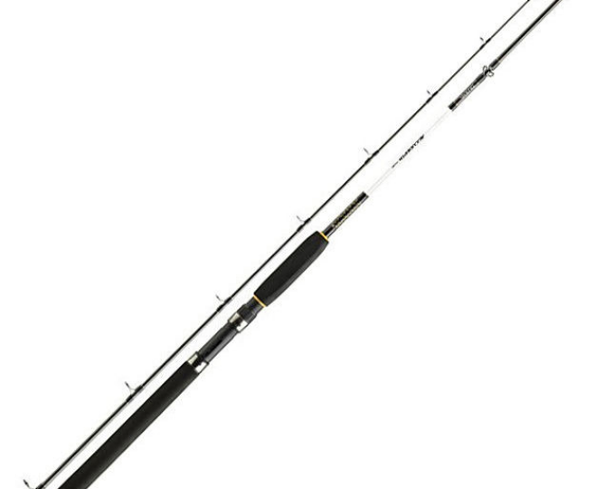 Спиннинг Daiwa Accudepth Trolling 2,7м (15-30lb) - изображение 1 