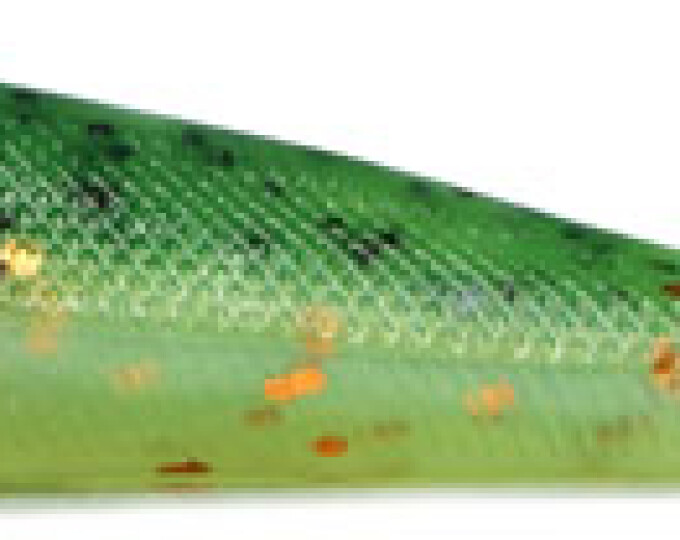 Силиконовая приманка Kosadaka GOBY 120 (длина 120мм) (2шт.) цвет FTS - изображение 1