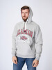 Толстовка Alaskan Promo Hoodie (серый) р.XXXL - изображение 2