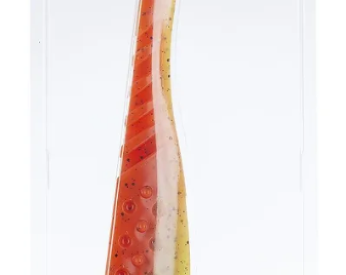 Приманка силиконовая Frapp Funky Shad 9″ #PAL08 (1шт.) - изображение 1 