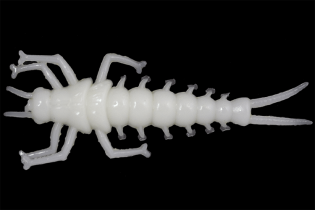 Мягкая приманка LureMax STONE FLY 1,5″/4,5см, 009-White UV (10шт)